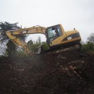 LSP- the beginning, 2008-11 Cambridge Tree Trust